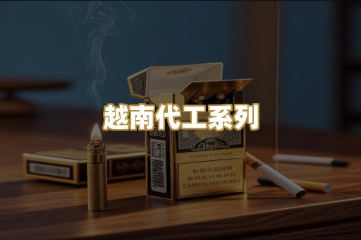 越南代工系列